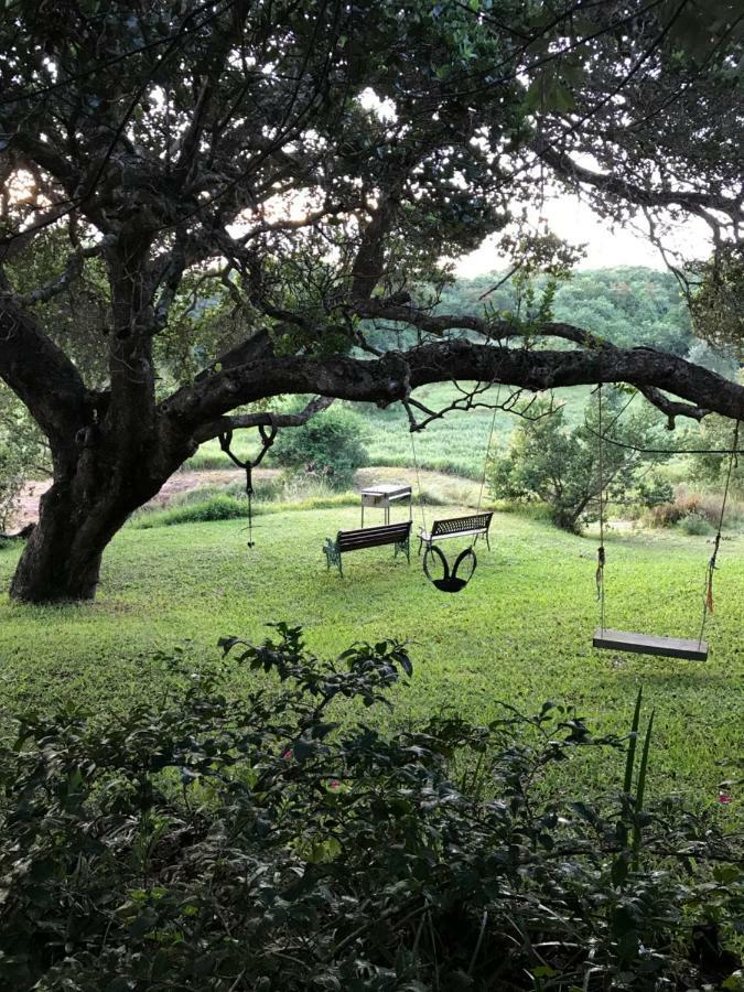 Nkumbe Bush Retreat Family Home Ponta Malongane Экстерьер фото